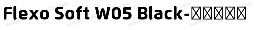 Flexo Soft W05 Black字体转换